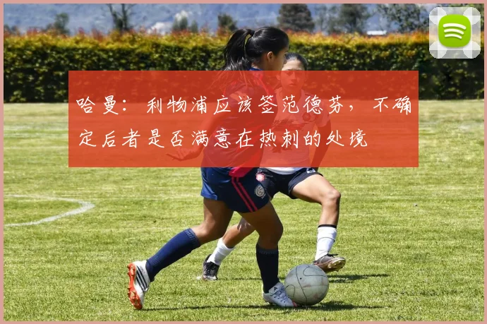 哈曼：利物浦应该签范德芬，不确定后者是否满意在热刺的处境